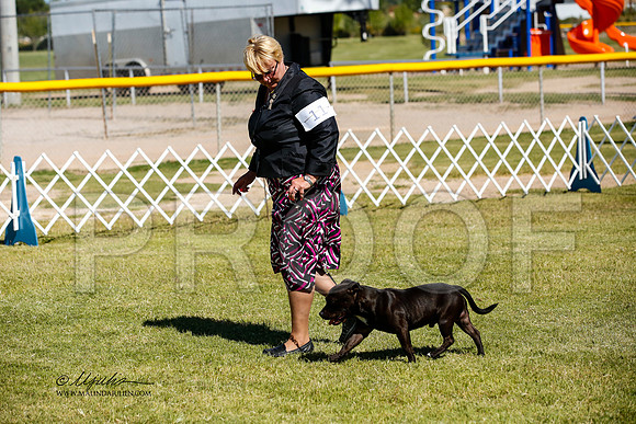 _JJ_3220-AlamogordoOct2014-HR3