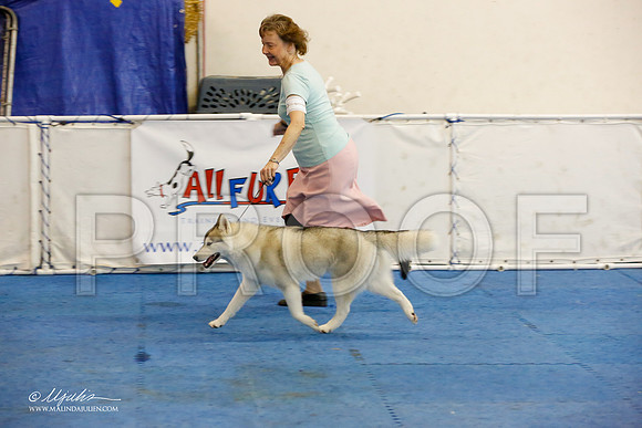 _M3_1630-AddisonHuskyMar2015-HR3
