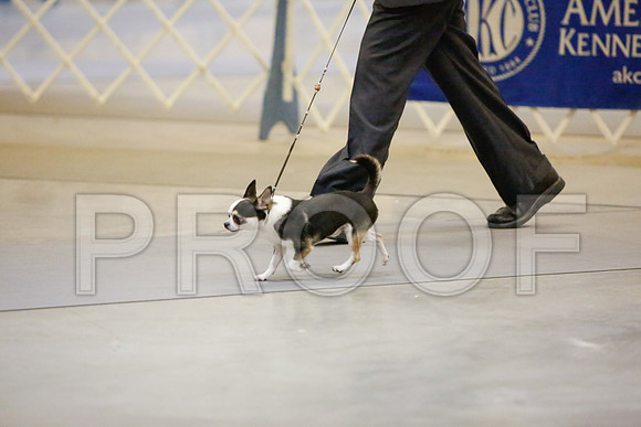 _JJ_2613-AmarilloSept2014-HR3