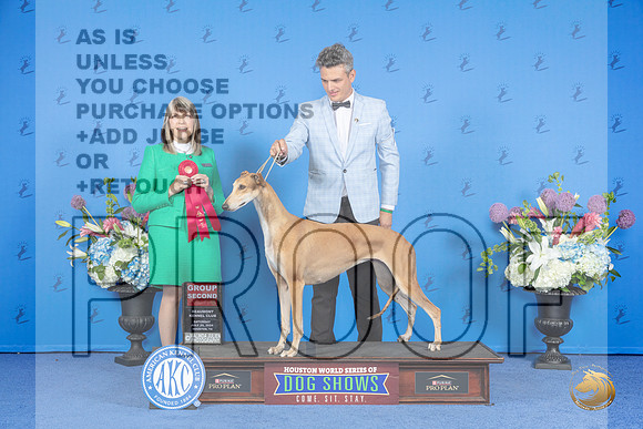 Greyhound #6 SAT G2 Judge Angela Pickett__JP_0019_Houston_2024_HR3