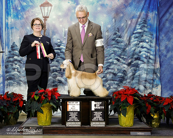 _ST_8041-2-DallasDec2014-HR3