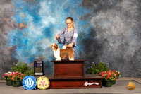 Havanese #19 Thur WD Judge Darryl Vice