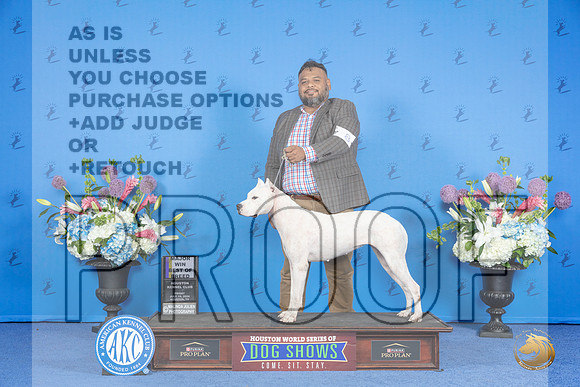 Dogo Argentino #8 FRI BOB M Judge Douglas Johnson r__JP_0031_Houston_2024_HR3