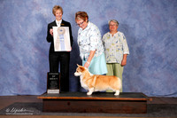 Corgi Pembroke Welsh #30 AOM