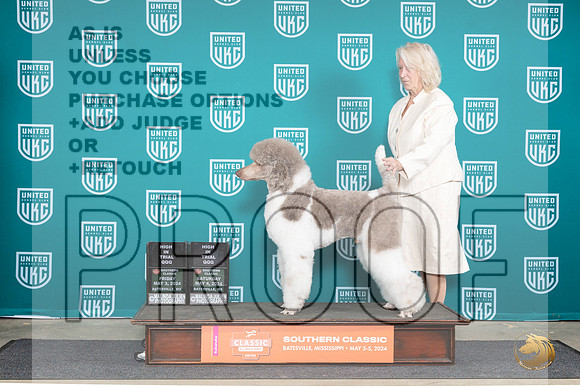 Poodle Std MC #186 FriSatHITQQQ Judge Terri Rein__JP_6569_BatesvilleMS_2024_HR3