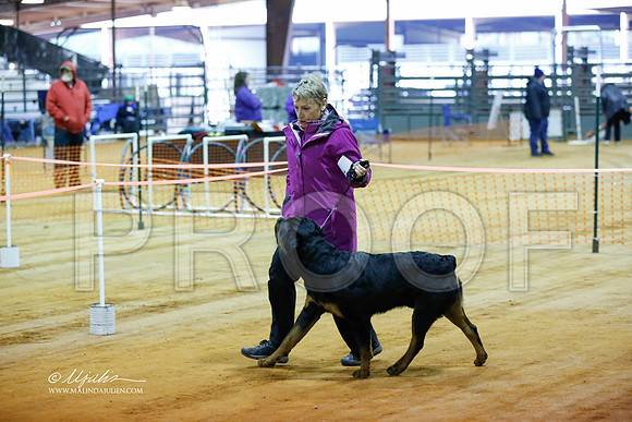 rott-4176-MrshlDec13-HR