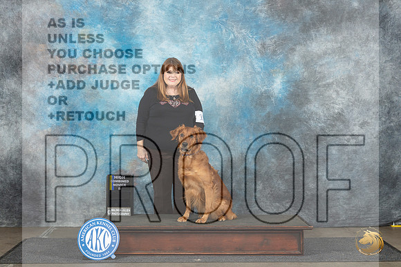 Golden Retreiver #15 Sun HC Judge Susie Osborn__JP_3944_Lubbock_2024_HR3