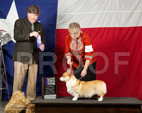 _ST_1686-AmarilloSep2014-HR3