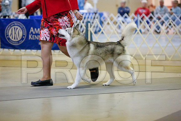 _JJ_7014-AmarilloSept2014-HR3