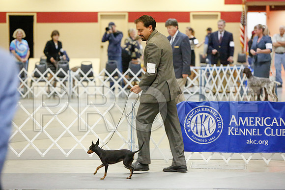 _JJ_1566-AmarilloSept2014-HR3