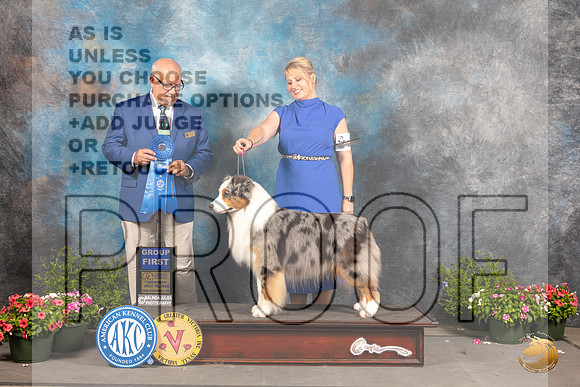 Australian Shepherd #29 Sat G1 Judge Michael Canalizo_MJ_0532_SA_2022_HR3