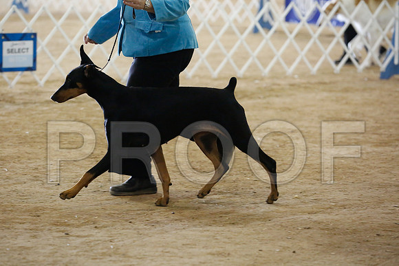 dobe-7490-HstnNov13-HR