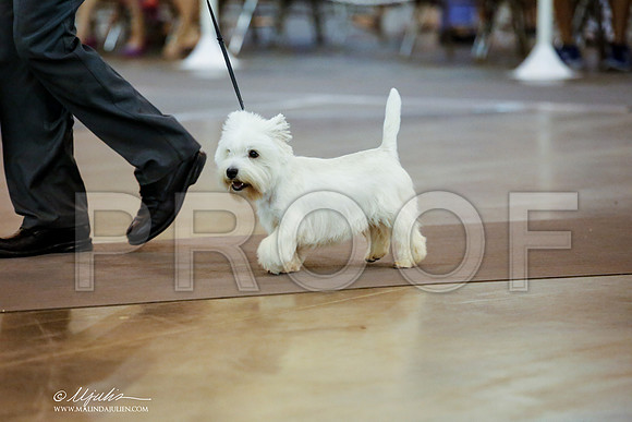 _JJ_8043-DalJul2014-HR3