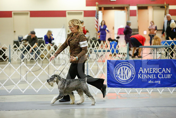 _JJ_9423-AmarilloSept2014-HR3