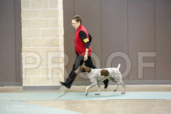 _RH_9858-BeltonJan2015-HR3