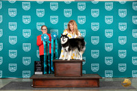 Alaskan Klee Kai POCH Judge Brenda Landers