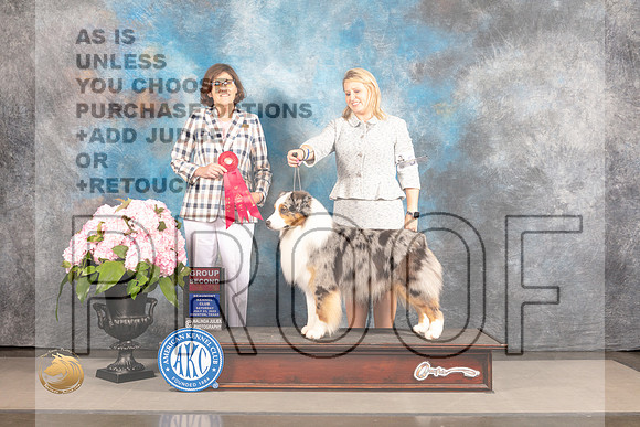 Australian Shepherd #55 Sat G2 Judge Carrie Chase_MJ_7061_Houston_2022_HR3