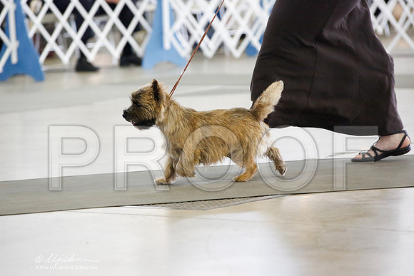 _JN_4812-DallasJul2014-HR3