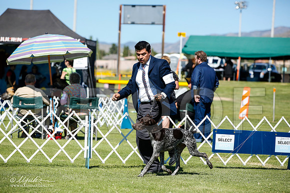 _JN_5279-AlamogordoOct2014-HR3