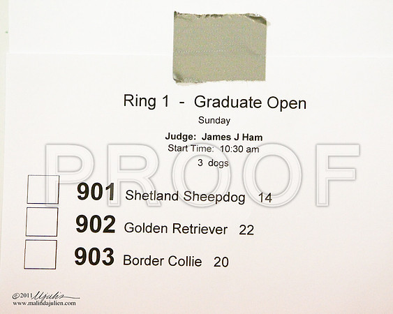 Grad Op Sun-8997