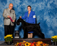 Giant Schanuzers #10 Sun BOH Elliott James Julie Judge Mr Gary L Andersen