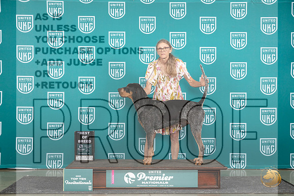 Bluetick Coonhound #1387 Thur T10BOB Judge Deb Allen__JP_1081_Premier_2024_HR3