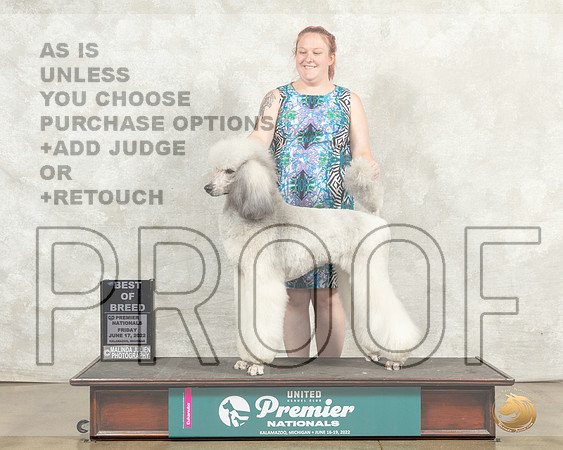 Poodle Std MC Fri BOB Judge Pam Perdue__MJ_8097_Premier_2022_HR3