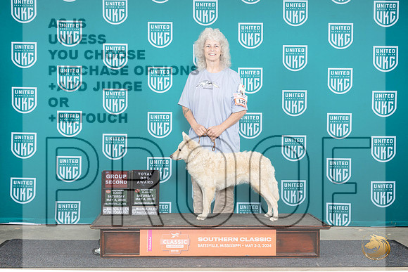 Mudi #120 Sat G2TD Judge Pamela Perdue__JP_6475_BatesvilleMS_2024_HR3