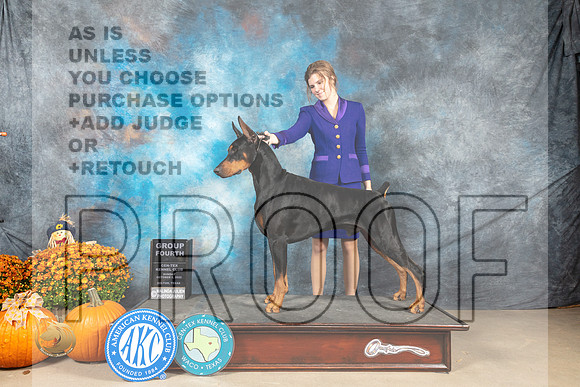 Doberman Pinscher #9 Sun G4 Judge Donnelle Richards_MJ_6823_Belton_2022_HR3