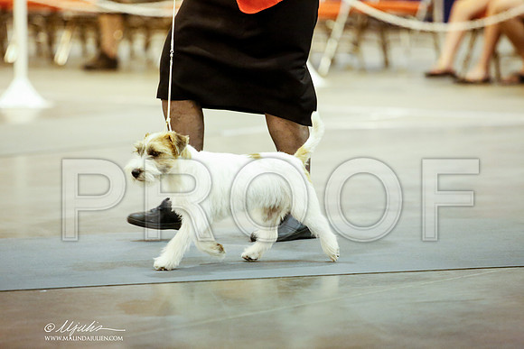 _JJ_6428-DalJul2014-HR3