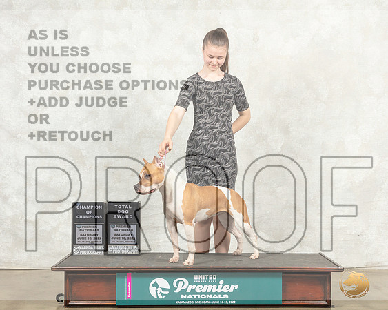 American Pit Bull Terrier #288 Sat COCTD Judge Jeanne Heger__MJ_8417_Premier_2022_HR3