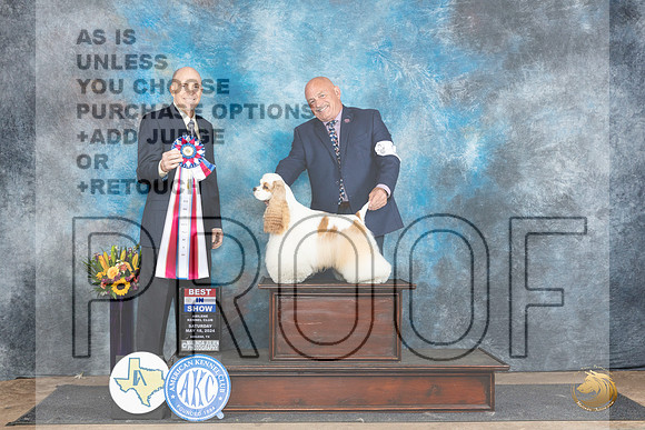 Cocker Spaniel #5 Sat BIS Judge Larry Abbott__JP_0113_Abilene_2024_HR3