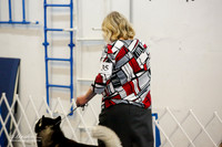Open Dogs Sat Rings