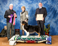 Australian Shepherd #37 Fri BOS WD