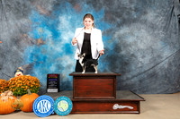 Chihuahua Smooth #6 Sun WBBOSCh Judge Lisa Graser