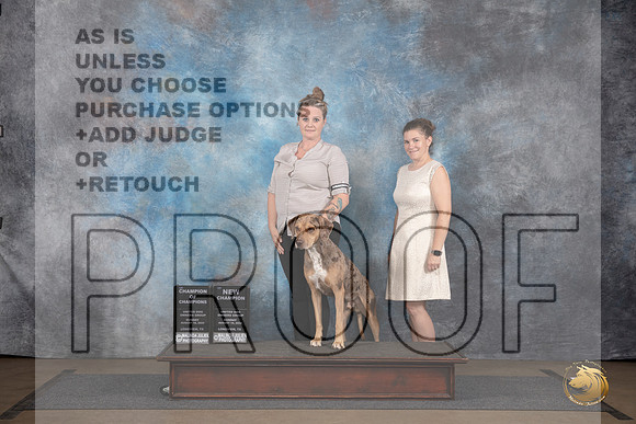 LCLD #472 Sun Ch of Ch NGCh Judge Matthew Proctor__JP_3123_LongviewTX_2024_HR3