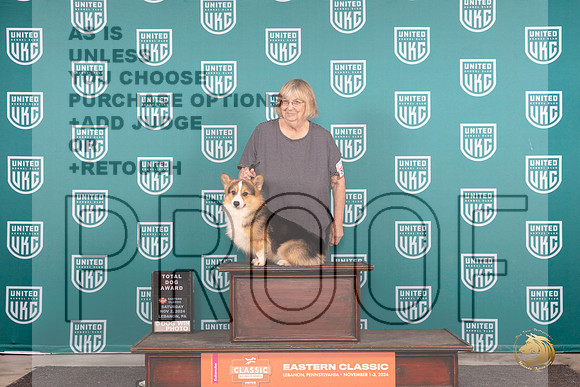 Pembroke Welsh Corgi #201 Fri RGCH TD Polly Jones__JP_2059_UKCEastern_2024_HR3
