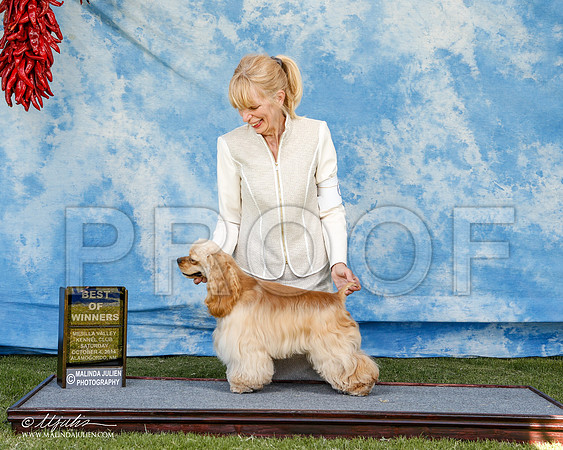 _ST_2896-2-AlamogordoOct2014-HR3
