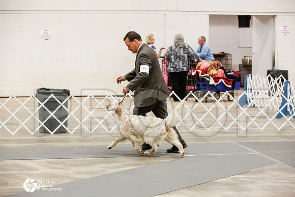 _JN_0834-AblnMay2014-web