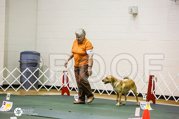 _JJ_2686-BsrCtyJun2014-HR3