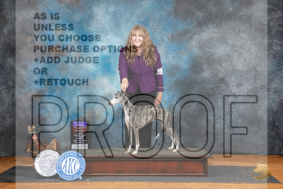Whippet #14 Fri BOBOHBOB Judge Karen Hynek__JP_7394_MARSHALL_2024_HR3