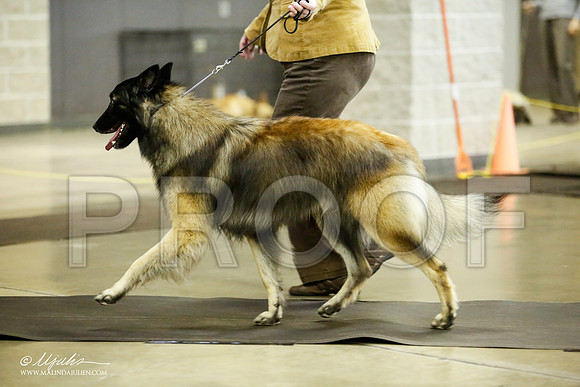 _JJ_6142-BeltonJan2015IABCA-HR3