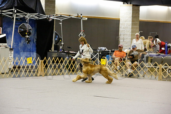 _JN_4315-AfgBeltonOct2014-HR3