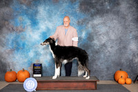 Borzoi #24 Sat BOB Judge Leonore Abordo
