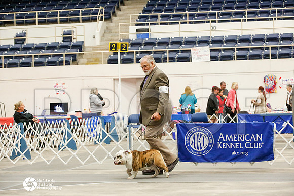 _JJ_8332-AblnMay2014-web