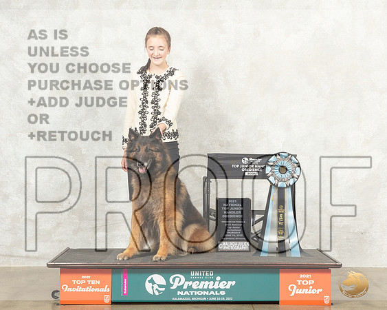 Belgian Tervuren #272 JrOb Judge Marguerite Plank__MJ_7490_Premier_2022_HR3