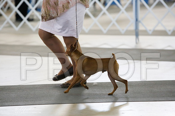 _CK_0089-DallasJul2014-HR3