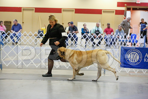 _JJ_9816-AmarilloSept2014-HR3