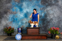 Cavalier King Charles Spaniel #14 Fri WB Judge Polly (Mrs Robert) D Smith