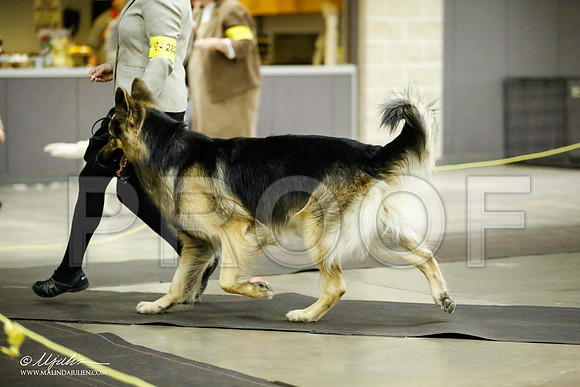 _JJ_6631-BeltonJan2015IABCA-HR3